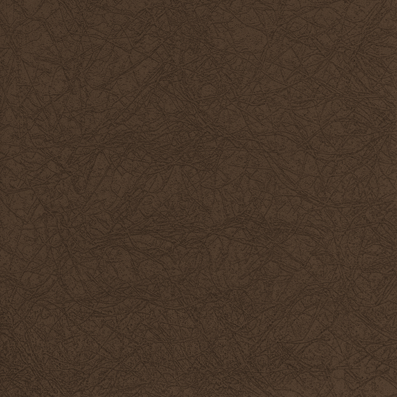 Modern Colours brown