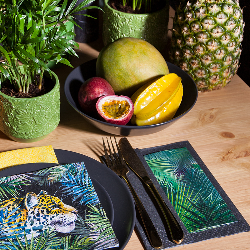 Rain Forest – Bild 3