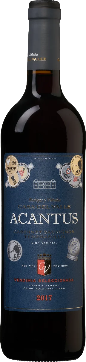 Bodegas y Viñedos Casa del Valle – Acantus Cabernet Sauvignon-Tempranillo – VdT de Castilla – die Weinbörse