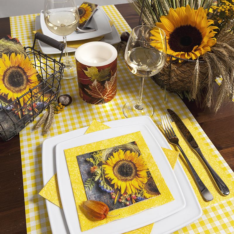 Sunny Autumn – Bild 3