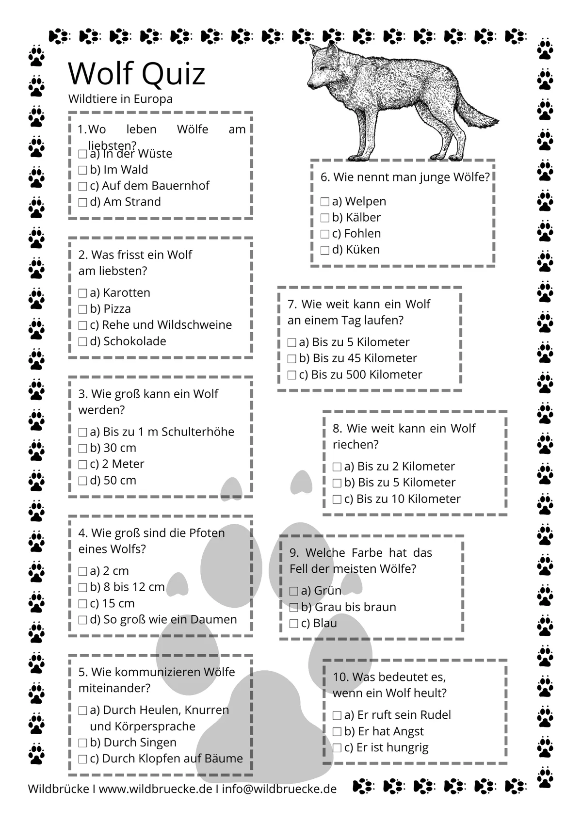 Wolf-Quiz – Spannendes Tierwissen in Deutsch & Englisch
