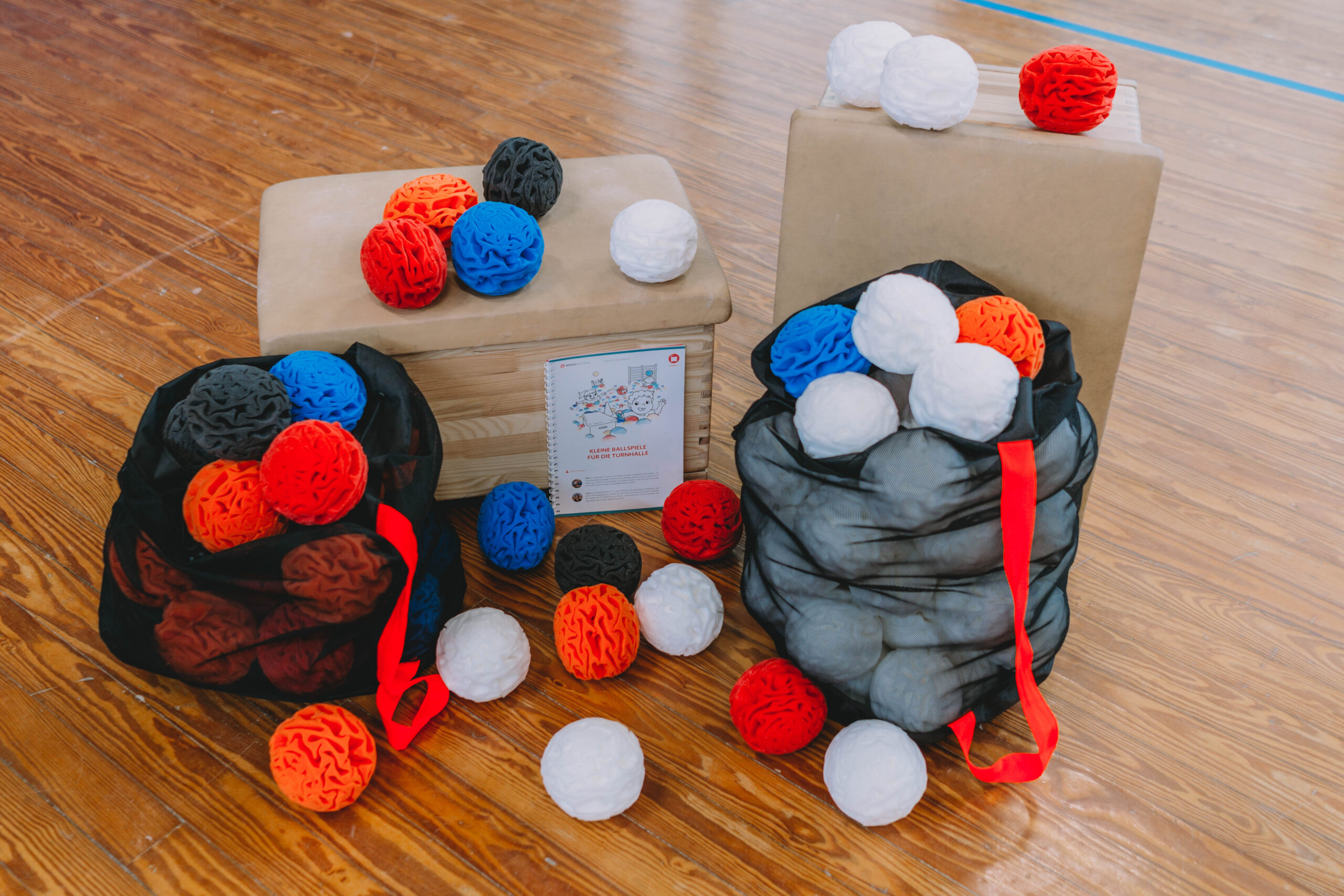 Ballschulpaket L (100)