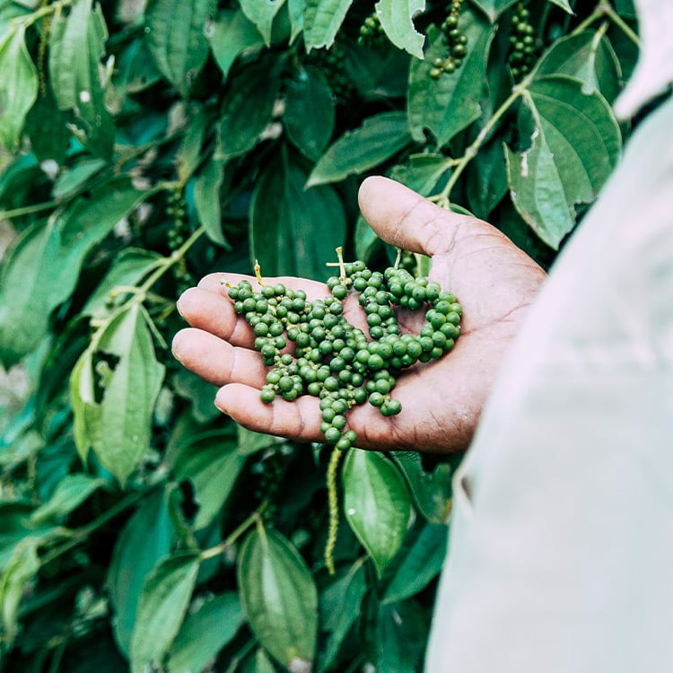 Knick Knack | Set – Bild 4