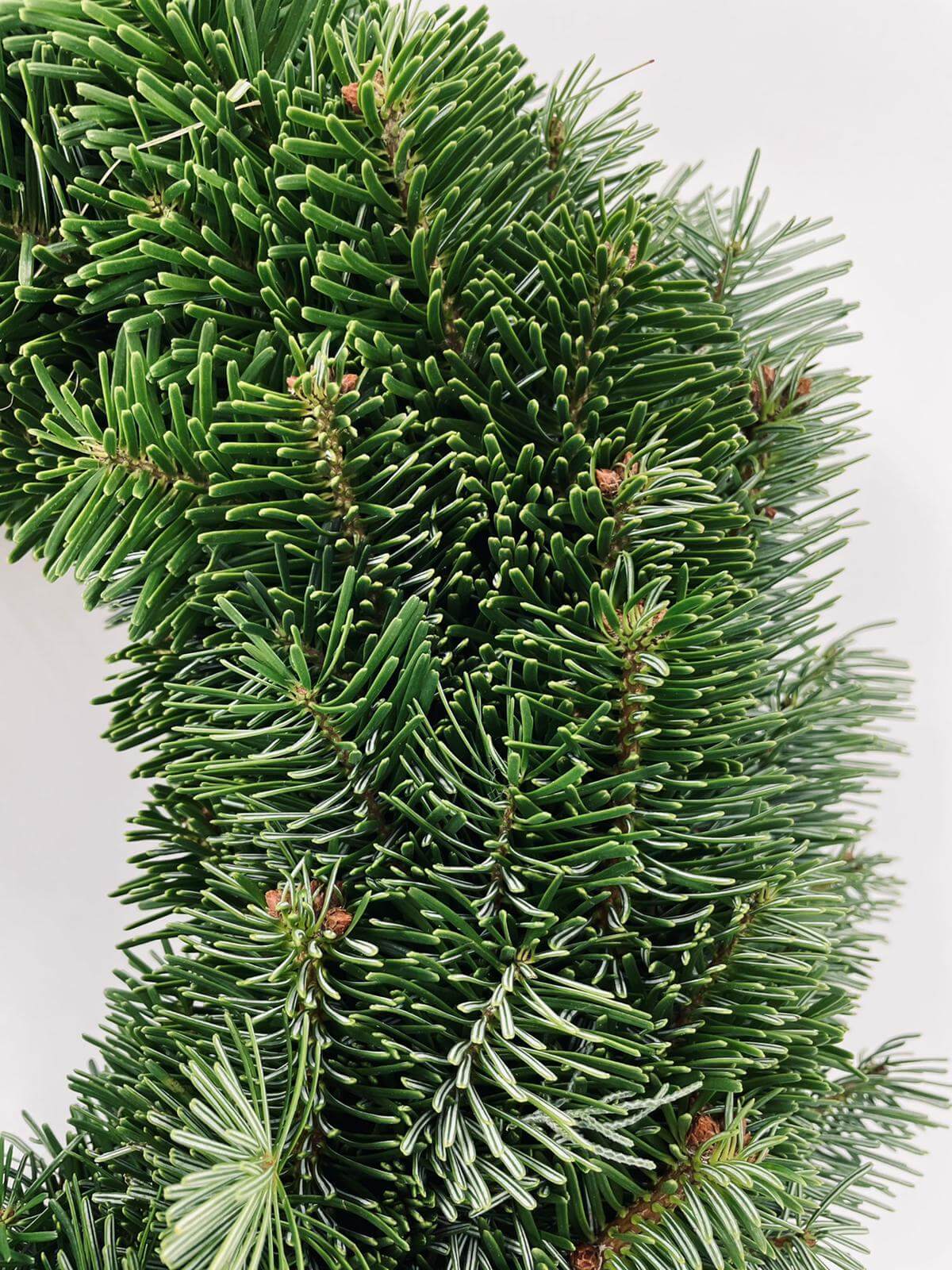 Adventskranz aus Nordmanntanne – Bild 2