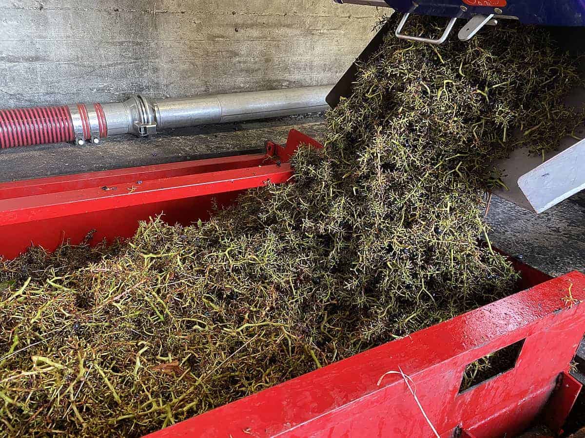 Rotwein „La Ferme Saint-Martin“ (Bio) – Bild 4