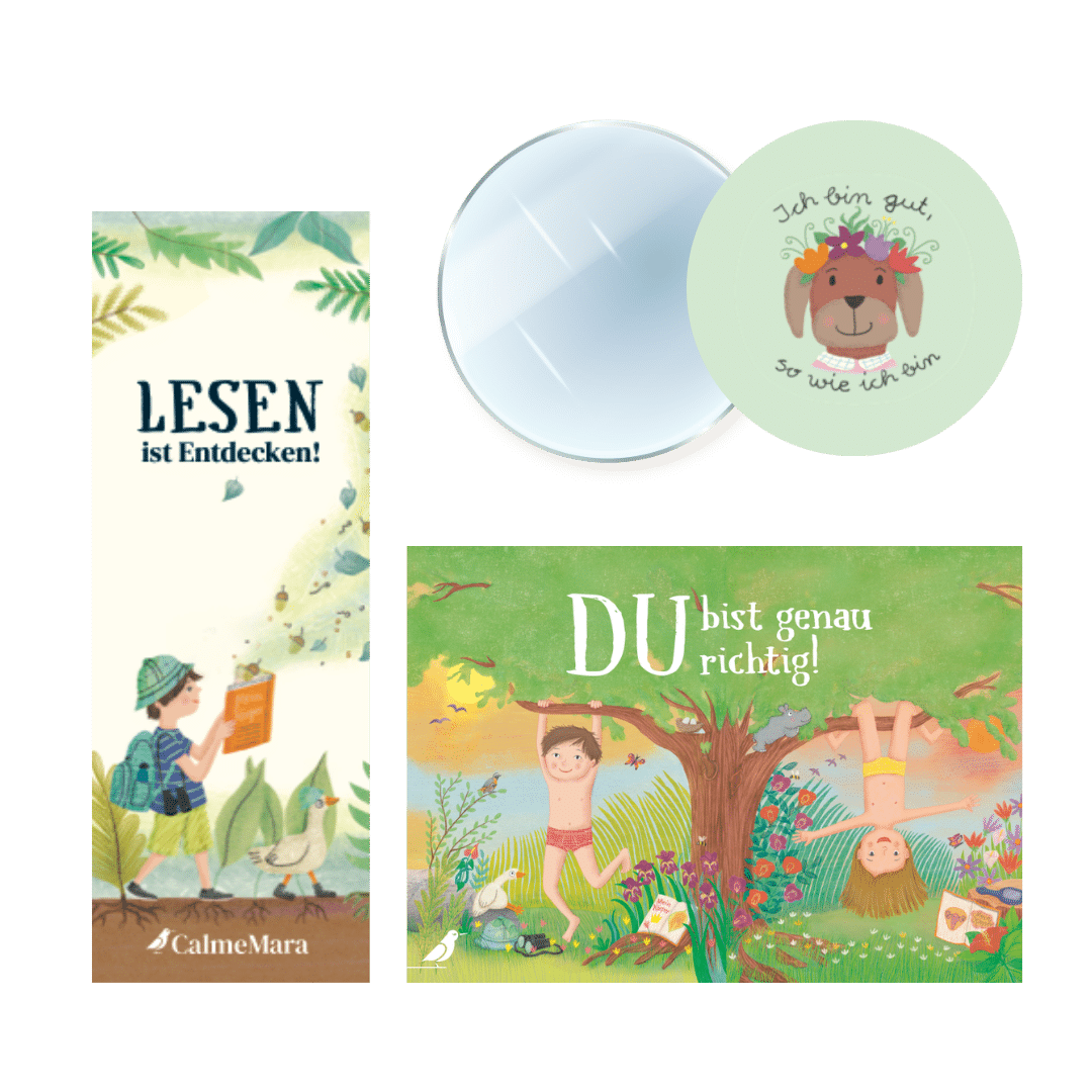 Limitiertes Aufklärungspaket – Bild 5