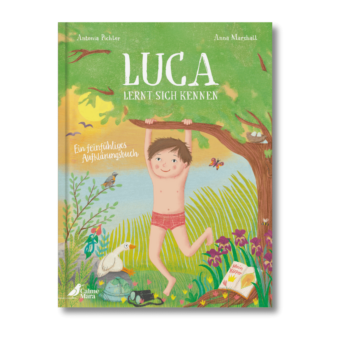 Limitiertes Aufklärungspaket – Bild 3