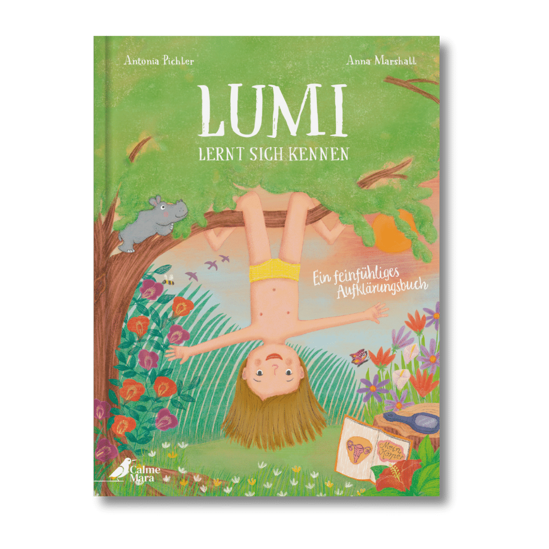 Limitiertes Aufklärungspaket – Bild 2