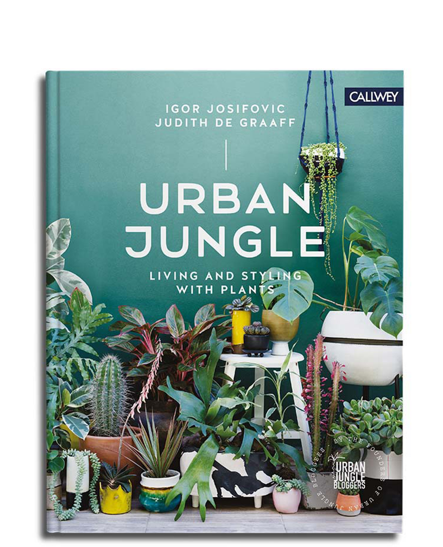 Urban Jungle