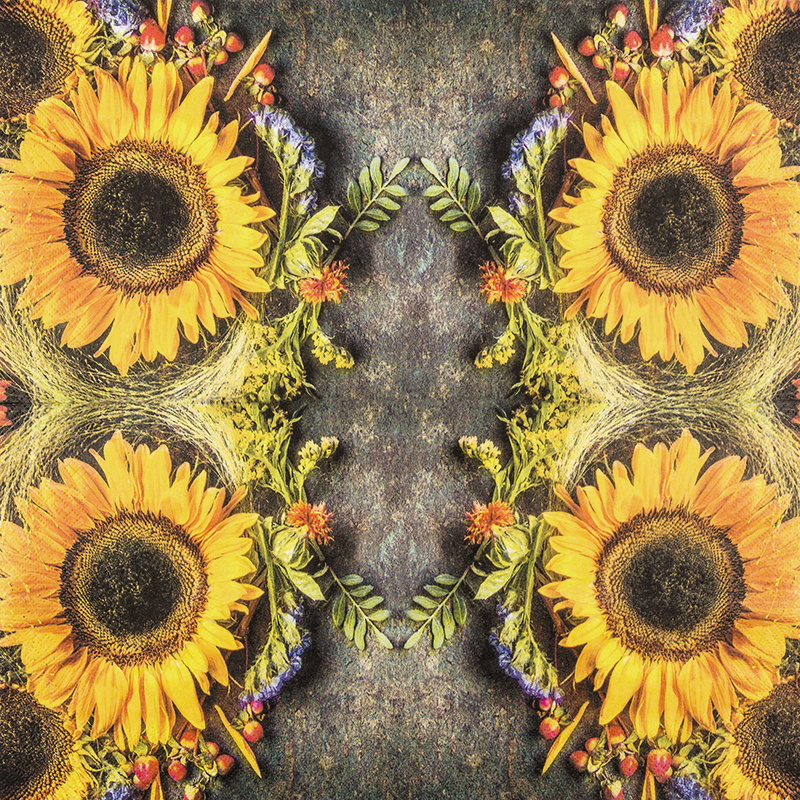 Sunny Autumn – Bild 2