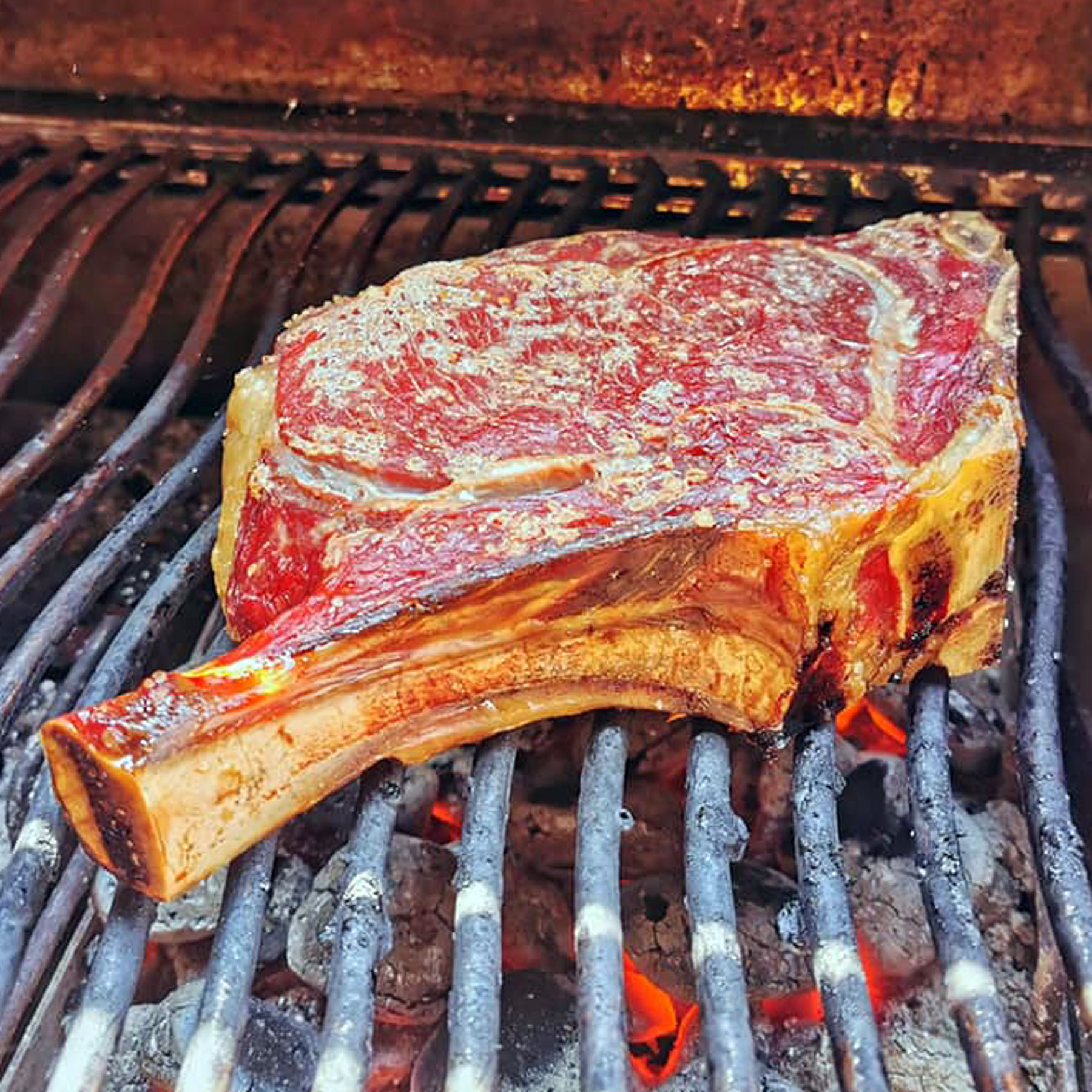 26.04.2025 – American BBQ – Grill, Smoker & Dutch Oven – Bild 6