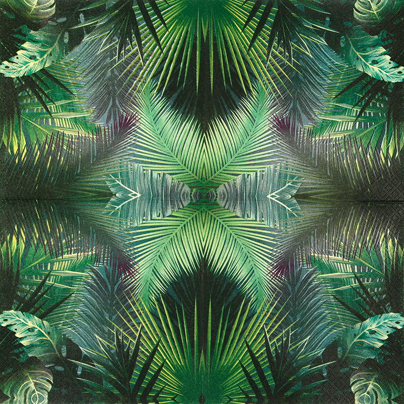 Rain Forest – Bild 2