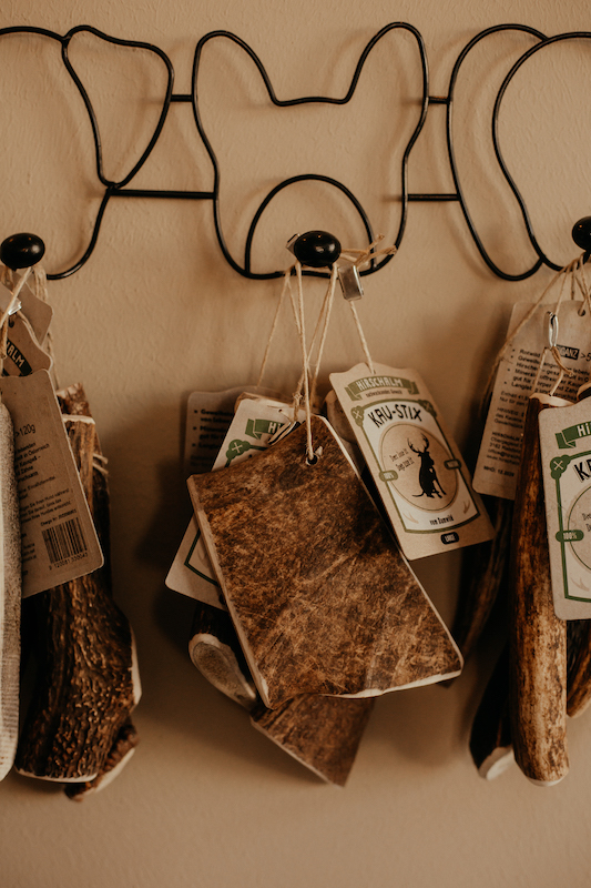 Geweihstange Dammhirsch – Bild 2