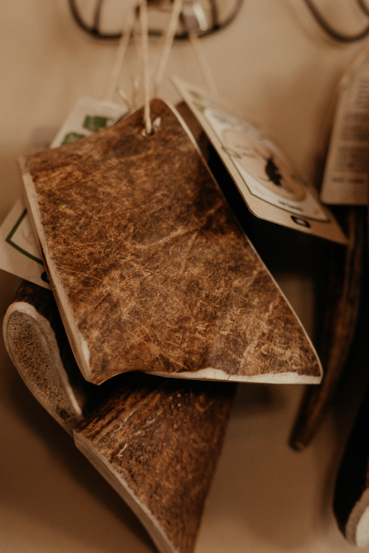 Geweihstange Dammhirsch